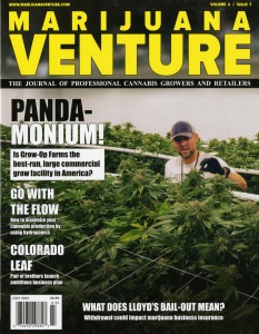 Marijuana Venture-25 (2)